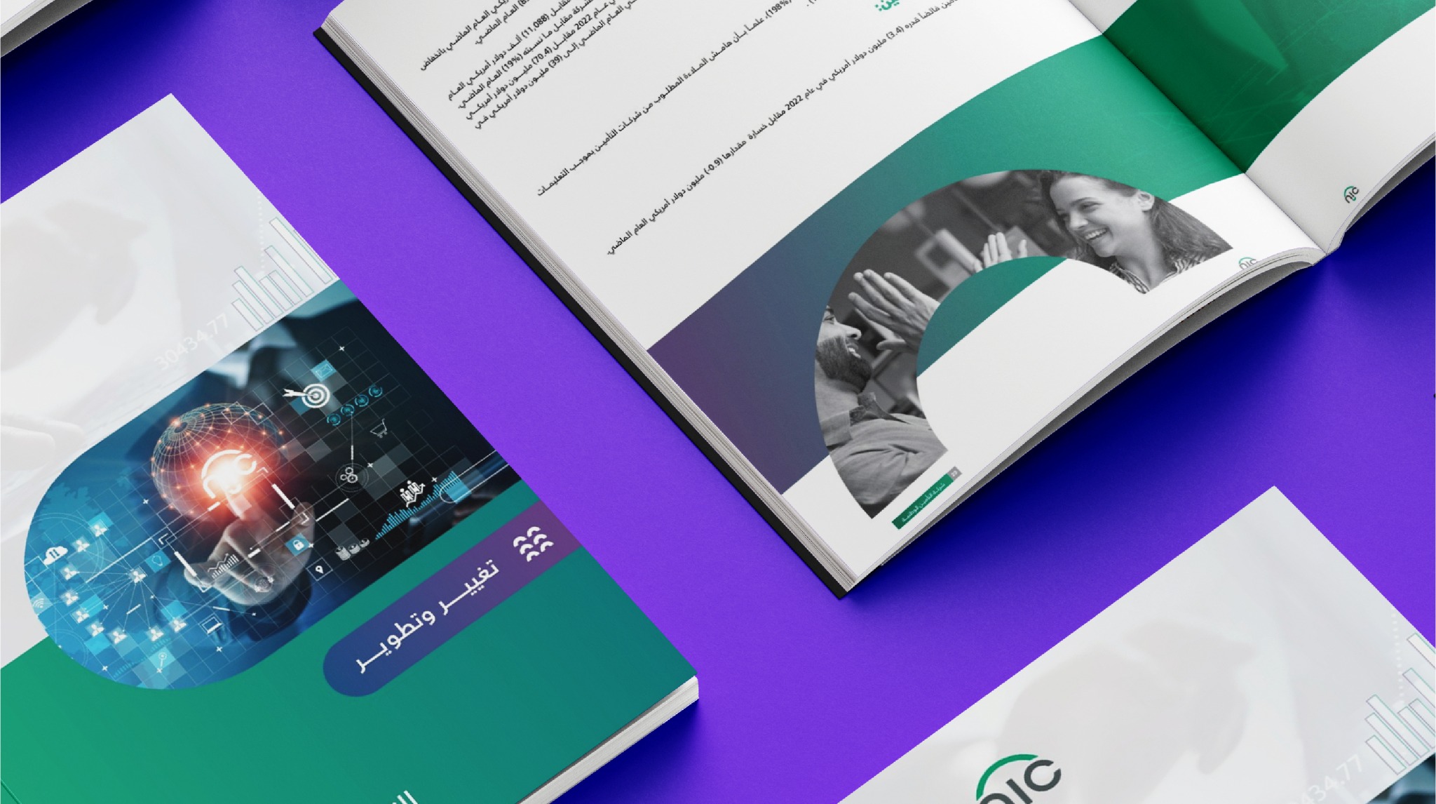 NIC — Annual Report 2022